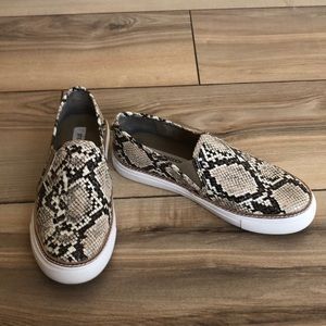 Snakeskin Slides | Steve Madden